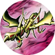 Drachenfluch
