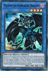 Paladin des Schwarzen Drachen Yu-Gi-Oh! Karte DLCS-DE069 Purple Ultra Rare