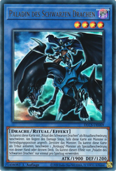 Paladin des Schwarzen Drachen Yu-Gi-Oh! Karte DLCS-DE069 Ultra Rare